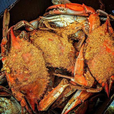 MARYLAND STEAMED CRABS