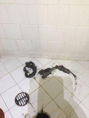 More hair in the shower waste line