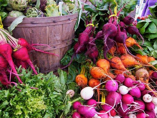 WINTER FARMERS MARKET IS BACK!