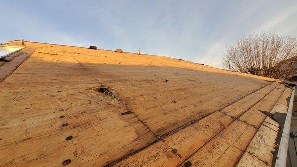 Holes in the sheeting once shingles removed