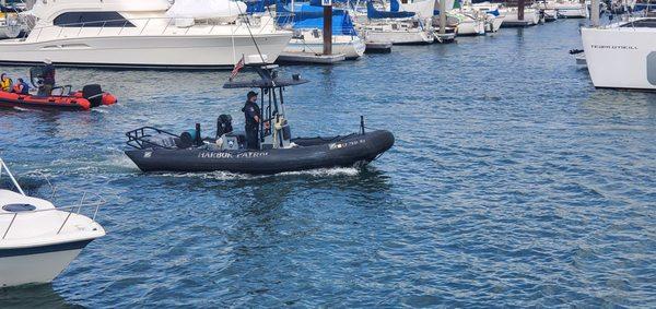 DFW patrolling the harbor