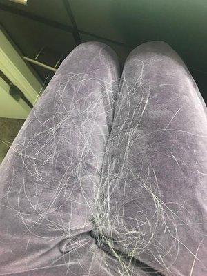 While sitting and styling my hair, this is what my lap looked like after 5 mins.