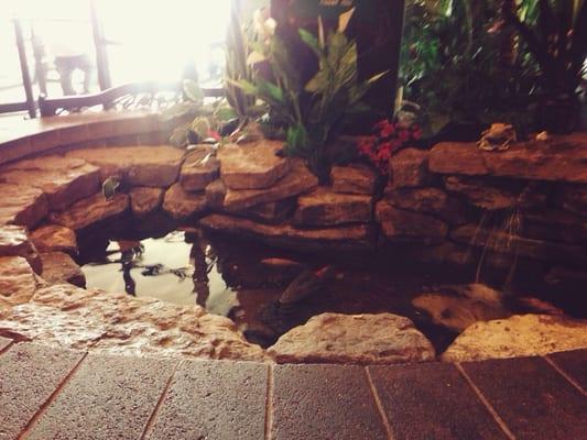 Their use of flowing waterfalls and attention to detail with their decor makes for a beautiful, serene environment