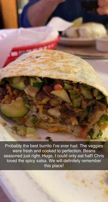 Vegetarian burrito