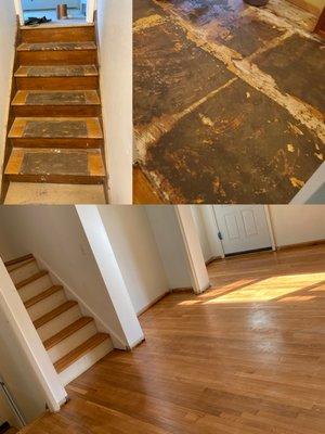 flooring and staircase