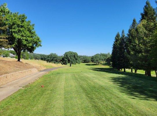 Hole 2 about 350 yards from white teebox with uphill slope.