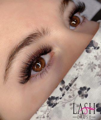 Volume Lashes