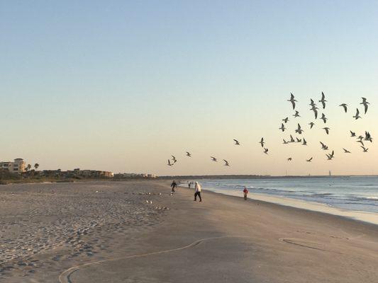 Just a nice beach