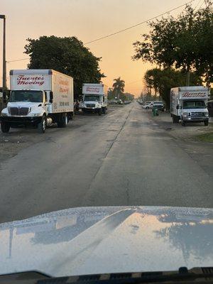 From sunrise to sundown movers in miami