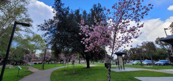 Schabarum Regional Park