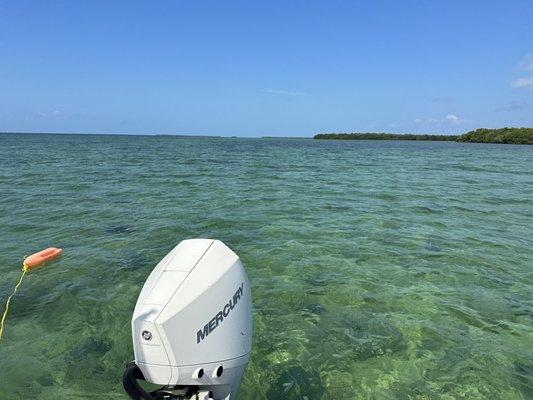 Snorkel area. Water was about 4 feet deep. Beautiful day. Lots of sponges.