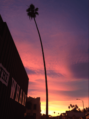 The Wharf - western apparel and feed store - near the beach!