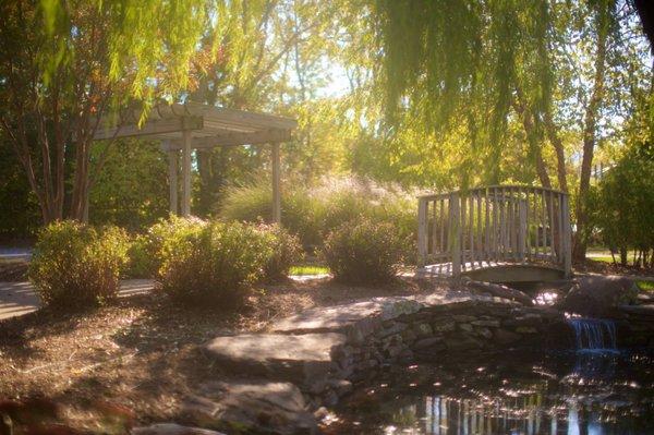 More than a traditional playground - students love our onsite pond, basketball court, soccer field and playgrounds.