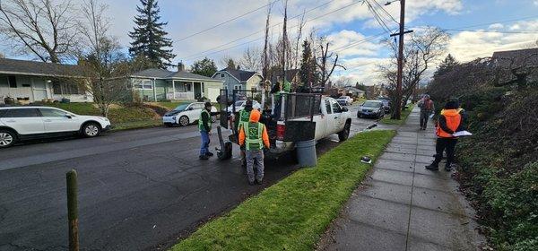 Plant trees for the city of portland