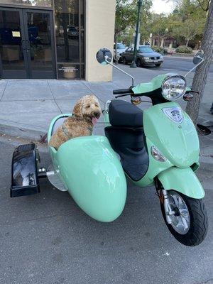 Buddy Scooter and sidecar