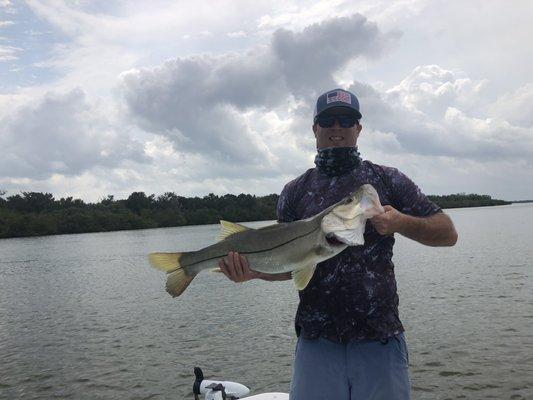 Snook