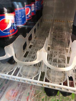 Soda cooler