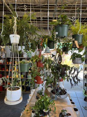 Hanging Planters