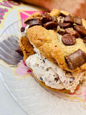 Ice Cream Cookie Sandwhich