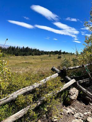 The meadow on the hike