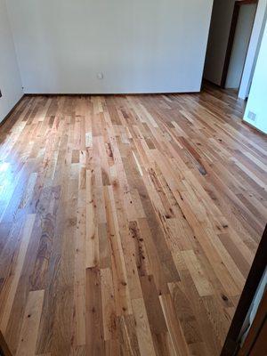 Hardwood floor refinish