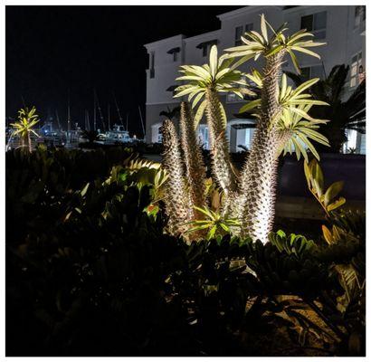 Our patio view at night from our salon.