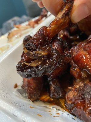 FEATHERS ON SMOKED WINGS - GROSS