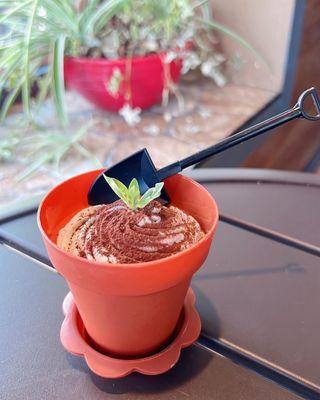 potted tiramisu