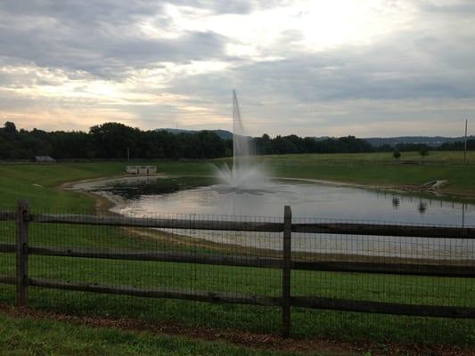 The pond next to the cancer center