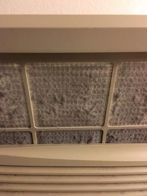 Nasty air conditioner filter