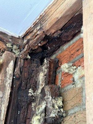 Rotted and wet corner under roof