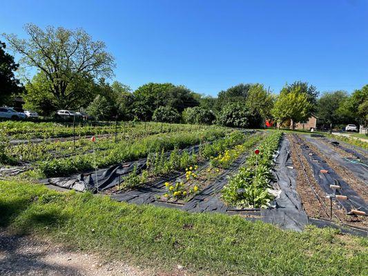 Part of the farm behind the parking lot