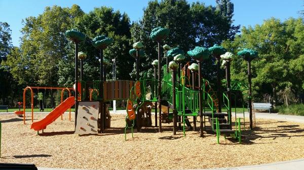 Tree top playground