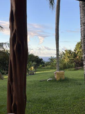 A view of the ocean from the outside dining space