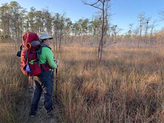 Big Cypress Swamp