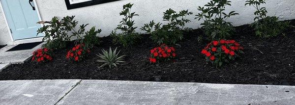 Flowers and aribicolas