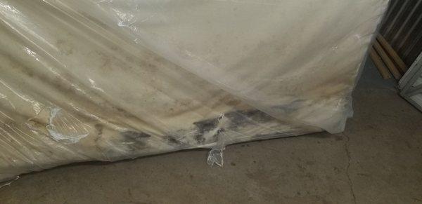 Mold and water damage