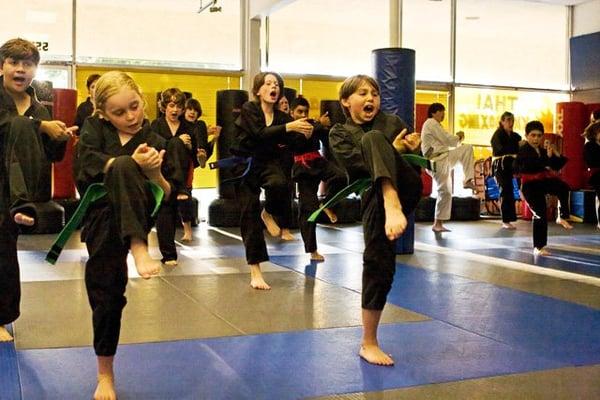 a KMA Children's Tae Kwon Do class