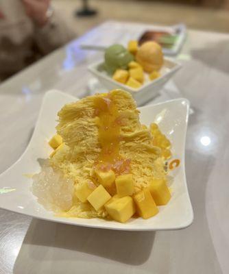 Mango Snowdae