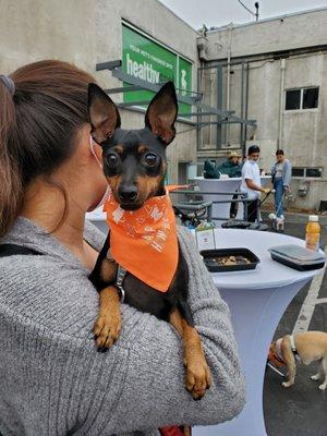 Pups & Pancakes event at Healthy Spot Los Feliz