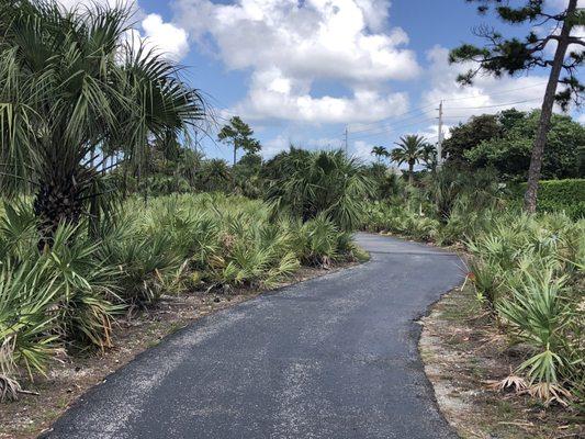 Hiking trail.