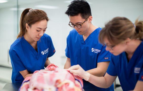 BSN Students working with a Synthetic Cadaver.
 
 *OC Campus Shown