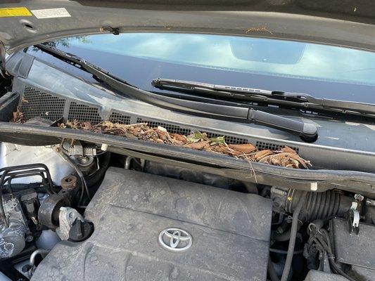 Engine bay was disgusting and Geek cleaned it like new