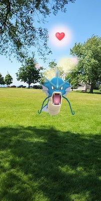 Pokemon in park!