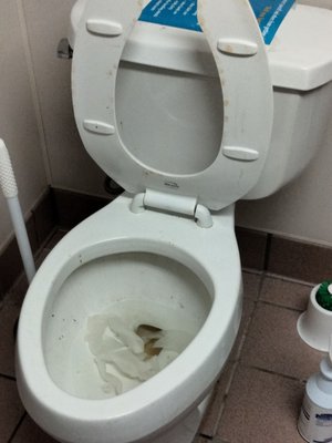 Rest room toilet