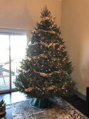 8.5' Christmas Tree