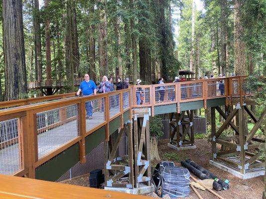 The Redwood Sky Walk