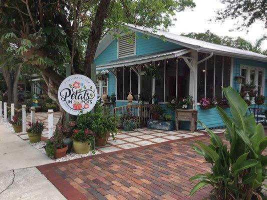 Outside shot of Petals In Pots shop in Sarasota Florida.