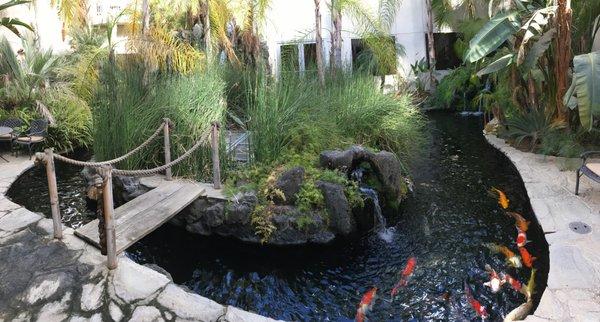 When you come to RE/MAX Golden Empire, please bring your children; they will love our Koi-Pond.