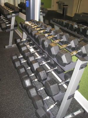 Variety of free weights for resistance training